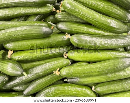 Macro photo vegetable green fresh cucumbers. Stock photo green cucumber background Royalty-Free Stock Photo #2396639991