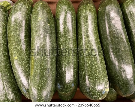 Macro photo vegetable green fresh zucchini. Stock photo green zucchini  background