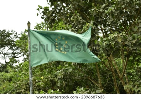 Flag of the department of Beni flying with a background of trees and cloudy sky.