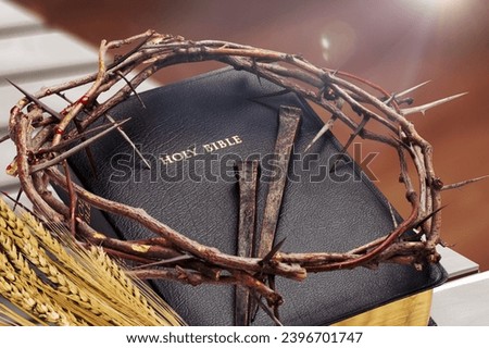 Ears of barley and holy bible, Christian spiritual Royalty-Free Stock Photo #2396701747
