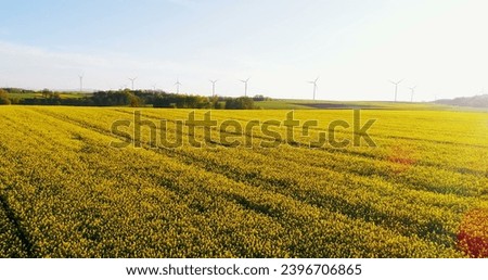 Aerial view of summer countryside with wind turbines and agricultural oilseed rape field 4K