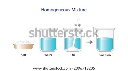 Homogeneous mixture, solution, uniform composition, salt and water. Chemistry experiment. Scientific design. Vector illustration. Royalty-Free Stock Photo #2396713205