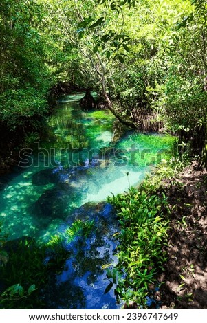 River in Natural travel place Thapom Klong Song Nam, Krabi, Thailand Royalty-Free Stock Photo #2396747649