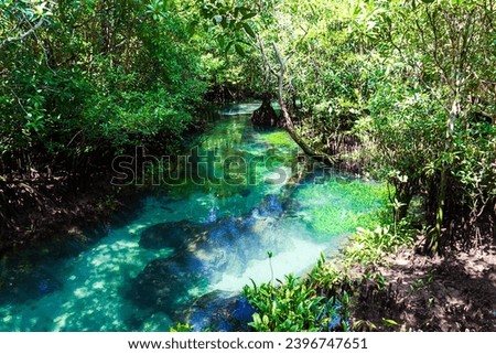 River in Natural travel place Thapom Klong Song Nam, Krabi, Thailand Royalty-Free Stock Photo #2396747651