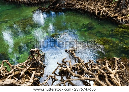 River in Natural travel place Thapom Klong Song Nam, Krabi, Thailand Royalty-Free Stock Photo #2396747655