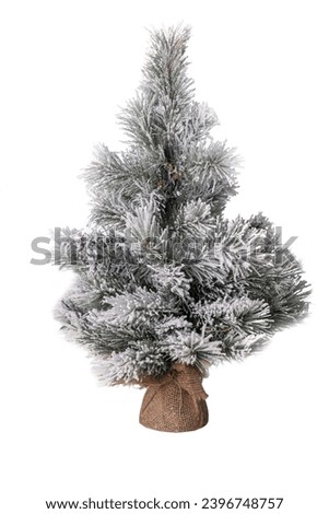 small christmas tree isolated white background