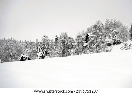 Landscape in winter season in village Urdorf in Switzerland under heavy snowfall in January 2021. Trees and bushes on the right hand side are covered with snow and diminishing in perspective. 