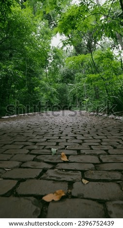 Brick walkway with green trees on the backgroud in a public park Royalty-Free Stock Photo #2396752439