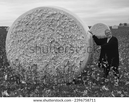 Cotton Queen - Black and White Photo - woman with giant round cotton ball in a field, showcasing the size of the harvest.”