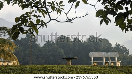 Picture of trees and a bench