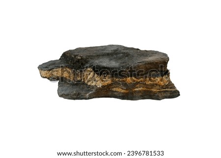 gneiss with quartz vein, foliated metamorphic rock stone isolated on white background. Royalty-Free Stock Photo #2396781533