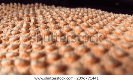 Carpet texture with embossed round motifs