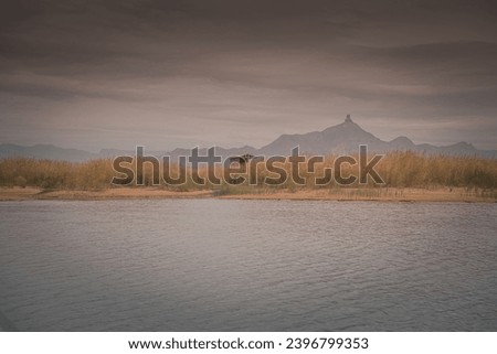 The river around the desert in Inner Mongolia, China. Copy space for text, background