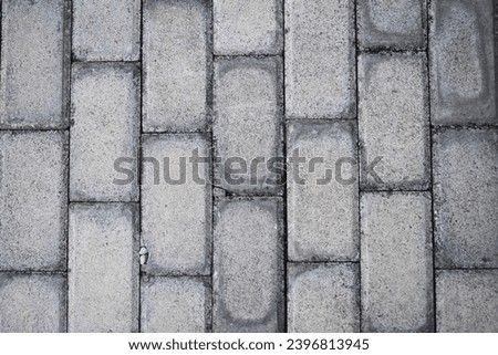 Gray paving stones texture. Top view.
