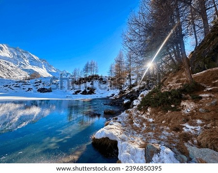 The Beauty of Switzerland Wonderland