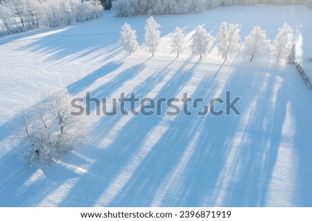 Aerial view to winter landscape. Snow-covered trees at sunset.
Aerial top down view of frosty trees in winter in 
The concept of Christmas