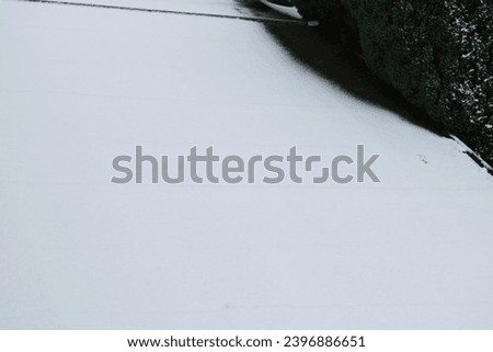 snow covered flat roof with a tree