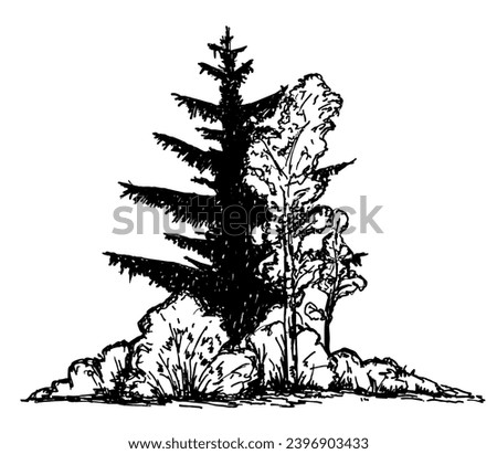 Trees, Shrub. Coniferous and deciduous trees. Vegetation. Hand drawn vector illustration with black outline. Sketch in ink illustration landscape Royalty-Free Stock Photo #2396903433