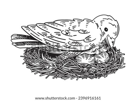 Wild bird incubates eggs in the nest outline clipart. Spring time doodle. Vector illustration in engraving style isolated on white.