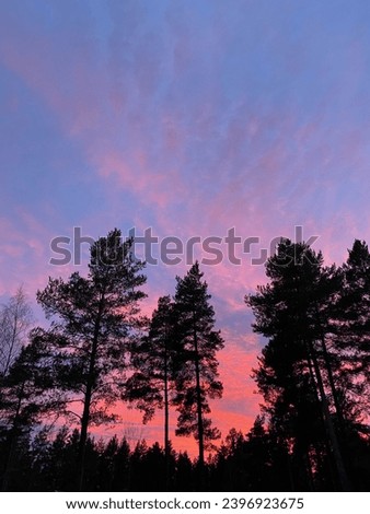 Nature pictures from Uppsala Sweden 