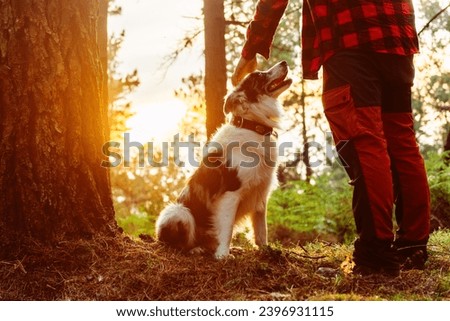 Unrecognizable person petting his border collie dog in a forest at dusk. Gesture of complicity between dog and owner