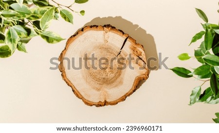 Wooden product podium with green leaves and shadows on beige background, top view. Aesthetic minimal display for product presentation, banner size