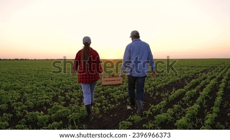 farmers carry vegetable harvest into field sunset. potato harvest season. small business agriculture. agronomist farmer field. agriculture concept. fresh vegetables for kitchen. businessmen boots sun. Royalty-Free Stock Photo #2396966373