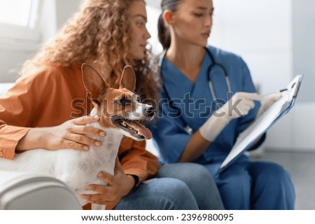Attentive vet takes clinical notes while a pet owner lovingly strokes her happy Jack Russell Terrier at a routine vet appointment in a bright clinic Royalty-Free Stock Photo #2396980095
