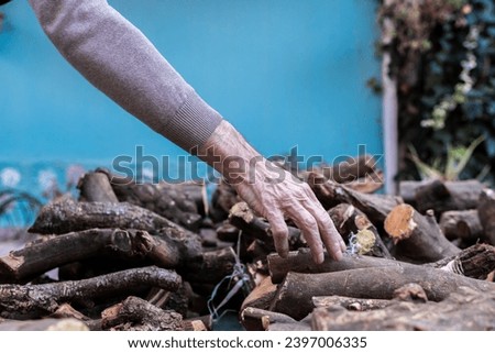 Photo of the hands of an elderly man stacking firewood in front of his house for the cold winter.