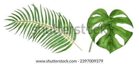 Green Palm and Monstera leaves. Watercolor hand drawn illustration of tropical plant for travel guides, cosmetic, spa, massage salon prints, wedding invitations, cards, packing. Jungle liana clip art.