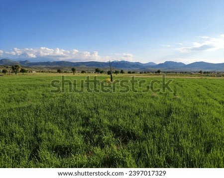 Grass landscape green view sky with earth render background nature picture