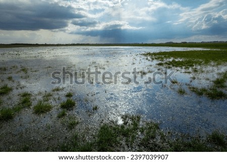 A wet meadow and a cloudy sky and sunlight, an April day