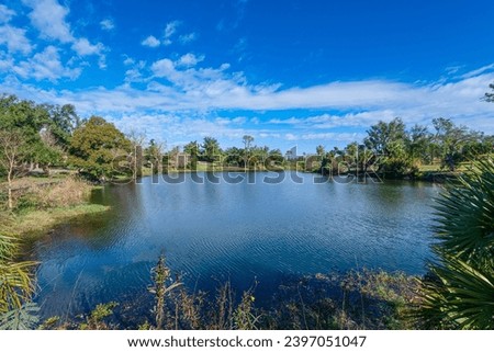 Tranquil reflections on the shores of Lake Caroline in Panama City, Florida, where the vibrant green foliage meets the serene blue sky, creating a picturesque lakeside haven. Royalty-Free Stock Photo #2397051047