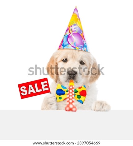 Golden retriever puppy wearing party cap looks above empty white banner blows in party horn and shows signboard with labeled "sale". Isolated on white background