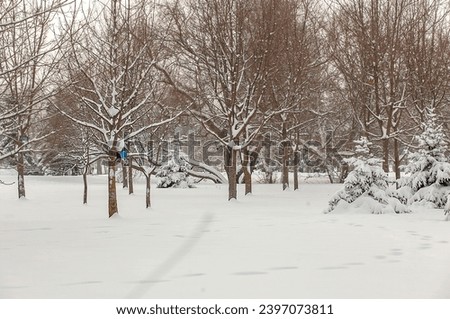 A bird house in a winter forest, a blue birdhouse on a tree.
