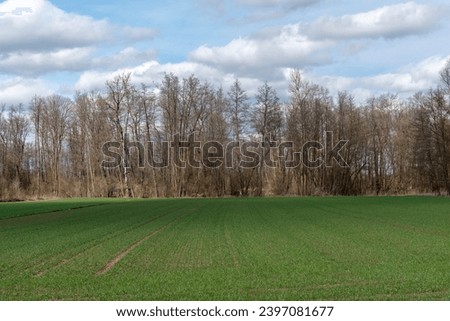 Rural landscape in Prekmurje, Slovenia, Europe stock photo