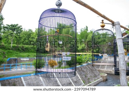 Portrait of a bird in a cage or cage.