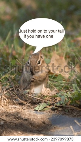 A funny captioned picture of a chipmunk close up.