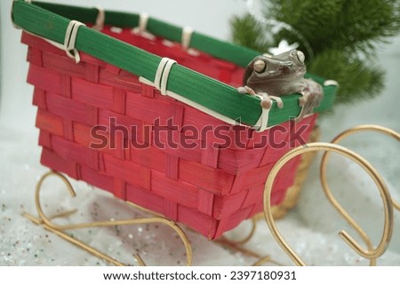 adorable frog in decorative santa sleigh