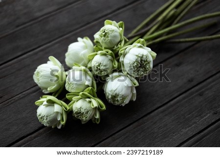 close up, many of white lotus bud on Wooden table background. Folding white lotus petal on wooden table, Thai traditional style.