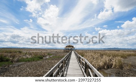 Wood walk way at Sam Roi Yot Freshwater Marsh or Bueng Bua Khao Sam Roi Yot National Park in Thailand. Boardwalk bridge. In Summer the ground is dry and cracked, there is no water in the pond. Royalty-Free Stock Photo #2397227255