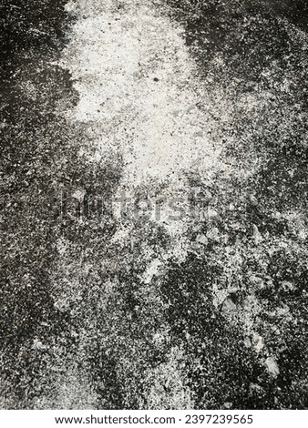 Cement Floor Pavement Free Texture