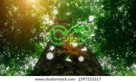 Circular economy symbol icon. Tree background with forest nature. Endless circular economy in sustainable business concept and future environmental growth, environmental conservation