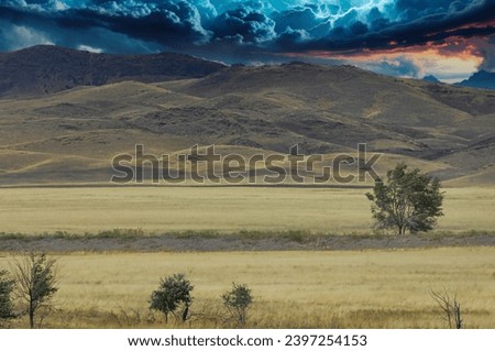 Steppe, prairie, plain, desert. Breaking through the atmosphere like a celestial whip, this lightning attracts attention! The sheer raw power on display reminds us of the incredible powers