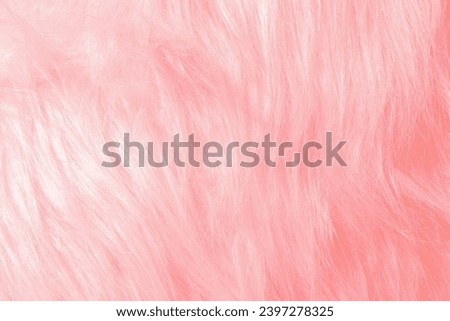 Pink fur texture. Pink sheepskin background. texture of pink shaggy fur. Wool texture.  Royalty-Free Stock Photo #2397278325