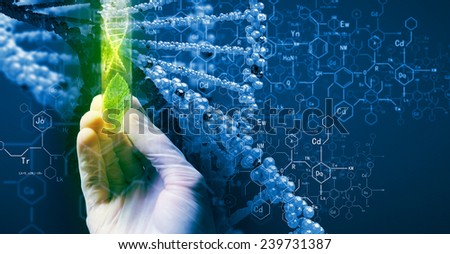 Close up of scientist hand holding tube with leaf Royalty-Free Stock Photo #239731387