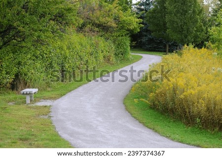 Trail through park next to forest and goldenrod flowers