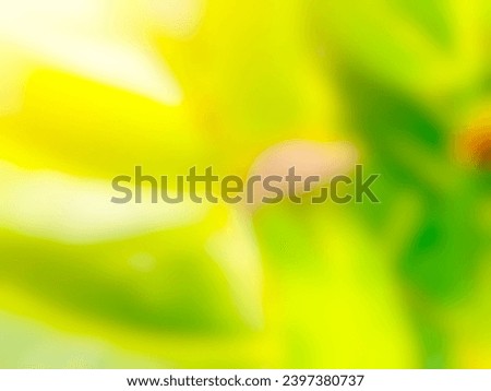 Abstract fresh and warm green background. Suitable for background graphic design banner or powerpoint. Perfect for graphic asset. 