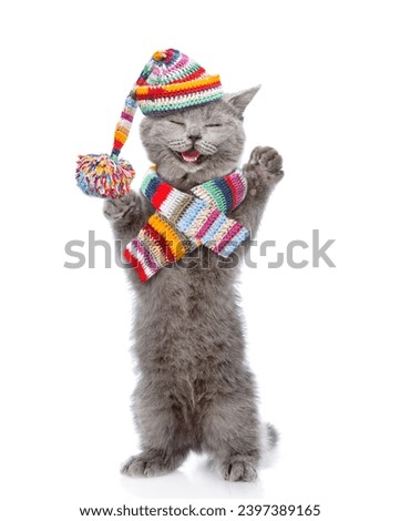 Happy kitten wearing a warm hat and knitted scarf standing on hind legs and looking at camera. isolated on white background