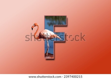 The letter F is embedded with a picture of the animal Flamingo. Great animal background.